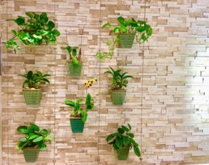 Wplyw roslin sciennych ogrodow wertykalnych na wilgotnosc wewnatrz budynku